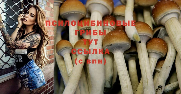 MESCALINE Алзамай