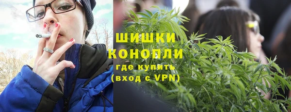 шишки Алексин
