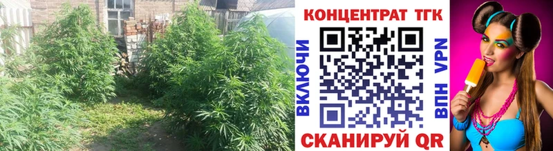ТГК гашишное масло  купить наркотик  Жирновск 