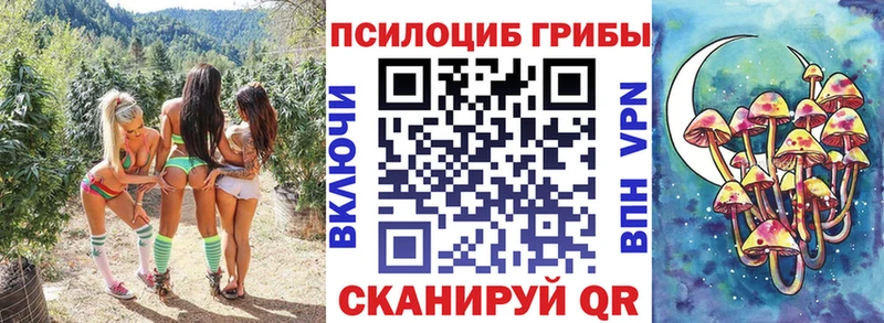 Галлюциногенные грибы MAGIC MUSHROOMS Жирновск